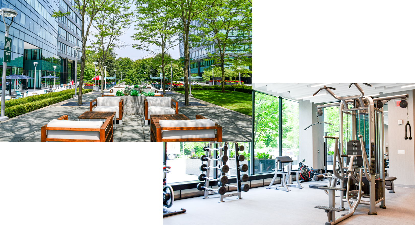 Amenities at The Towers Amenities at The Towers