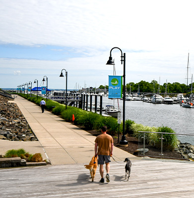 SEAMLESS INDOOR_OUTDOOR ENVIRONMENT Seamless indoor and outdoor environment Stamford, CT